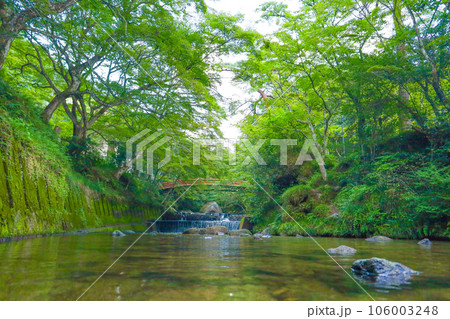 夏の岩屋堂公園を流れる川のせせらぎ 夏の岩屋堂公園を流れる川のせせらぎ 106003248