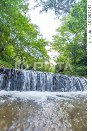 夏の岩屋堂公園を流れる川のせせらぎ 夏の岩屋堂公園を流れる川のせせらぎ 106003249