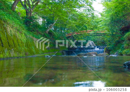 夏の岩屋堂公園を流れる川のせせらぎ 106003258