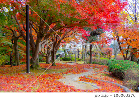 水戸偕楽園　もみじ谷 106003276