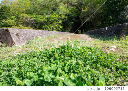 幻の鉄道遺産 広浜鉄道今福線 四連アーチ橋と今福第四トンネルそばのクローバー 島根県浜田市 幻の鉄道遺産 広浜鉄道今福線 四連アーチ橋と今福第四トンネルそばのクローバー 島根県浜田市 106003711
