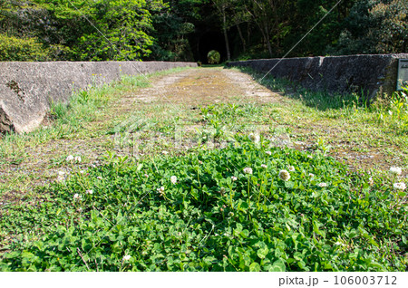 幻の鉄道遺産　広浜鉄道今福線　四連アーチ橋と今福第四トンネルそばのクローバー　島根県浜田市 106003712
