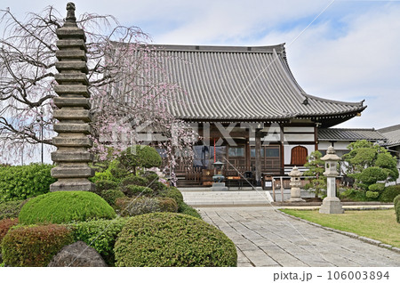 寺院:大圓寺 曹洞宗 さいたま市見沼区 寺院:大圓寺 曹洞宗 さいたま市見沼区 106003894