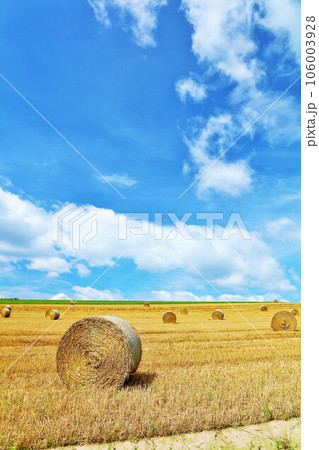 北海道 夏の青空と牧草ロールの大地 北海道 夏の青空と牧草ロールの大地 106003928