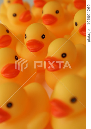 アヒルの行列 106004260