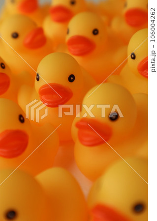 アヒルの行列 106004262