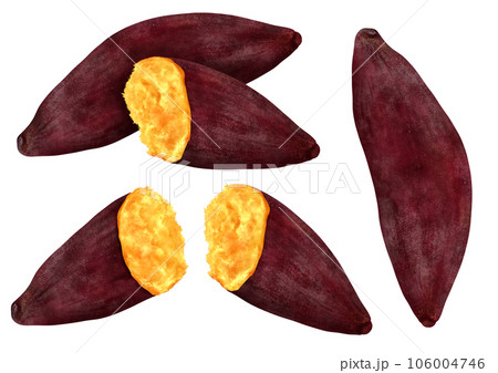 焼き芋 さつまいも 秋の味覚 106004746