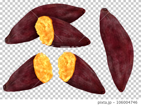 焼き芋 さつまいも 秋の味覚 106004746