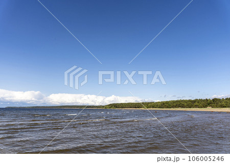 Panorama view of the sea bay and pine forest and blue sky 106005246