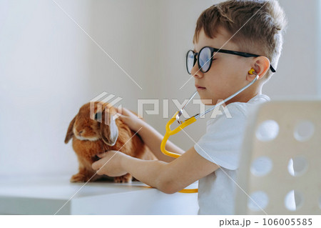 cute little boy playing vet stethoscoping a rabbit cute little boy playing vet stethoscoping a rabbit 106005585