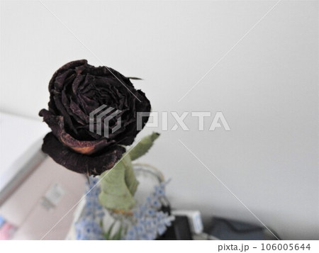 バラ ドライフラワー 薔薇 ハンドメイド バラ ドライフラワー 薔薇 ハンドメイド 106005644