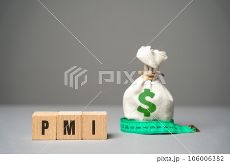 PMI on a blocks concept - Purchasing Managers' Index. Economic indicators derived from monthly surveys of private companies. Business assessments and finance concept. PMI Project Management Institute 106006382