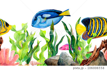 Watercolor drawing seamless border from ribbon algae, bottom stones, coral, surgeon fish, royal angel fish, frideman fish, cone shell and snag on white background. Underwater set for print, wallpaper 106006558