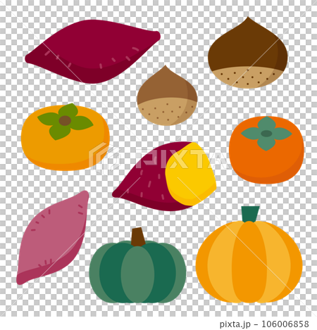 Colorful autumn taste illustration set 106006858
