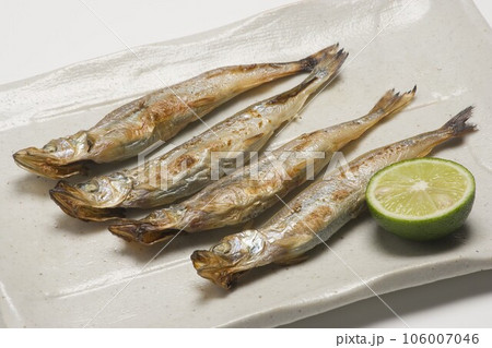 ししゃも焼 106007046