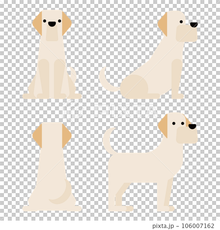 グラフィカルでシンプルな犬の4ポーズのセット（ラブラドール） 106007162