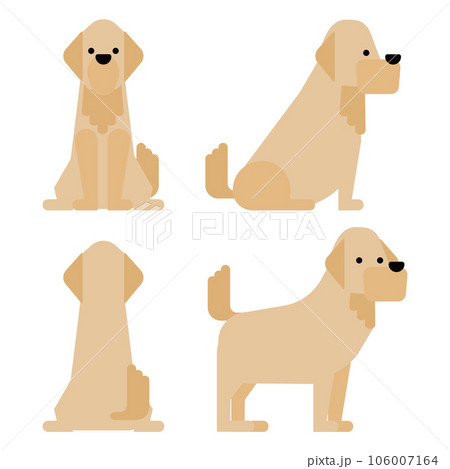 グラフィカルでシンプルな犬の4ポーズのセット（ゴールデンレトリーバー） 106007164