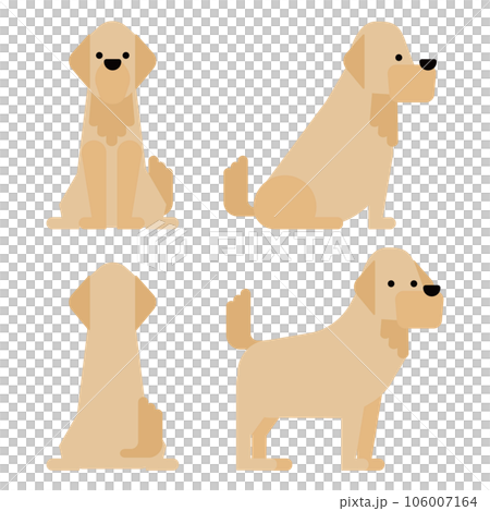 グラフィカルでシンプルな犬の4ポーズのセット（ゴールデンレトリーバー） 106007164