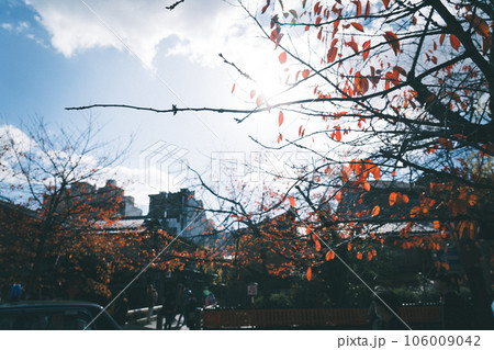 京都 祇園の風景 京都 祇園の風景 106009042