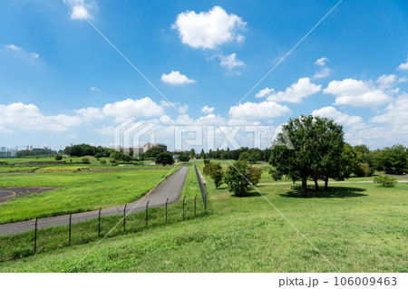 武蔵野の森公園 東側の入口の丘の上から東京外国語大学方面 夏の青空 東京都府中市 武蔵野の森公園 東側の入口の丘の上から東京外国語大学方面 夏の青空 東京都府中市 106009463