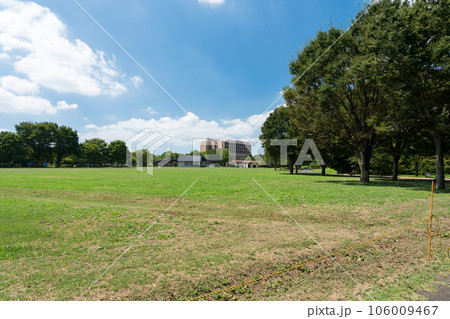 武蔵野の森公園から東京外国語大学を眺める 夏の青空 東京都府中市 武蔵野の森公園から東京外国語大学を眺める 夏の青空 東京都府中市 106009467