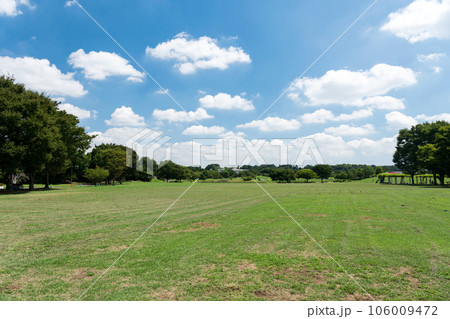 武蔵野の森公園 西側の広大な広場 夏の青空 東京都府中市 武蔵野の森公園 西側の広大な広場 夏の青空 東京都府中市 106009472