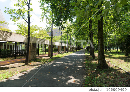 東京外国語大学 北西・南東に伸びる長い歩道 夏の青空 東京都府中市 東京外国語大学 北西・南東に伸びる長い歩道 夏の青空 東京都府中市 106009499