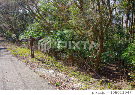 福岡県の低山大坂山九州自然歩道の登山道 福岡県の低山大坂山九州自然歩道の登山道 106013947