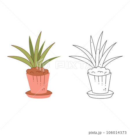 Plant in the pot. Black and white and color clipart vector illustration. 106014373