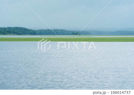 natural landscape, vast shallow lake with reed banks on a rainy day 106014737