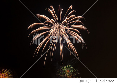 花火 幕張ビーチ花火フェスタ 花火 幕張ビーチ花火フェスタ 106014922