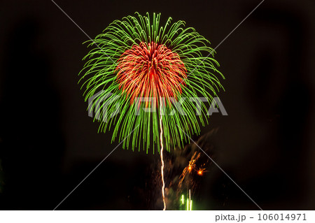 花火 幕張ビーチ花火フェスタ 花火 幕張ビーチ花火フェスタ 106014971