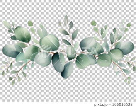 Watercolor eucalyptus leaves border isolated. Watercolor eucalyptus leaves border isolated. 106016528