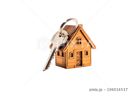 Key to modern house. 106016537