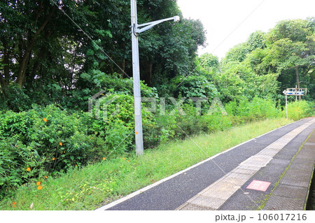 曇り空のJR九州あまくさみすみ線の風景(2022年) 106017216