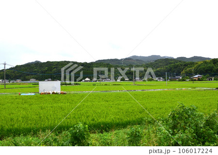 曇り空のJR九州あまくさみすみ線の風景(2022年) 106017224