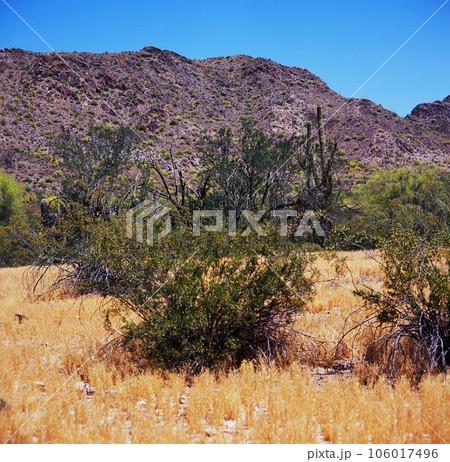 San Tan Mountains Sonora Desert Arizona On Film San Tan Mountains Sonora Desert Arizona On Film 106017496