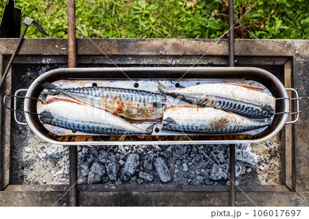 top view of raw fish in open steel smoking pot top view of raw fish in open steel smoking pot 106017697