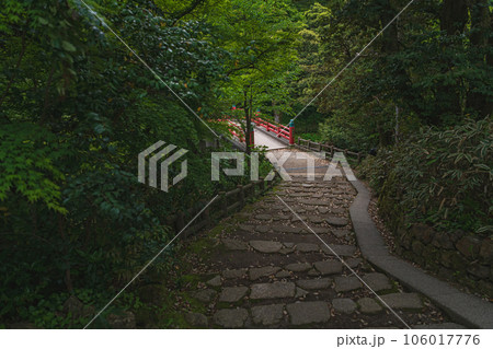 富山 高岡古城公園 遊歩道と朝陽橋 106017776