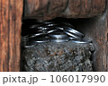 斑鳩寺 106017990