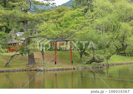 奈良・東大寺 奈良・東大寺 106018367