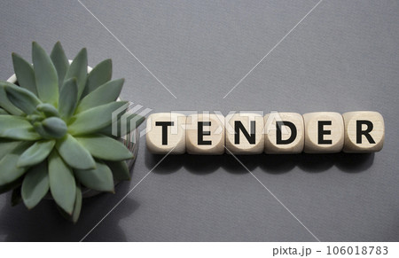 Tender symbol. Concept word Tender on wooden cubes. Beautiful grey background with succulent plant. Medicine and Tender concept. Copy space. Tender symbol. Concept word Tender on wooden cubes. Beautiful grey background with succulent plant. Medicine and Tender concept. Copy space. 106018783