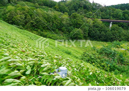 青山ダム・アースダム 106019079