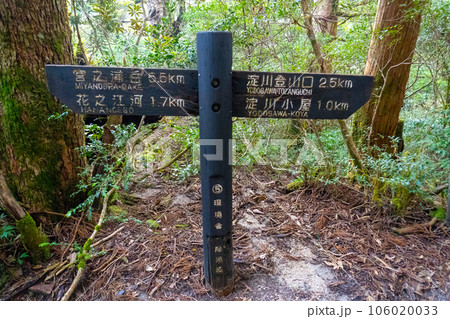 屋久島の淀川小屋から黒味岳間の景色 106020033