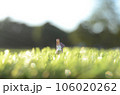 草原に立つ女性のミニチュア 106020262