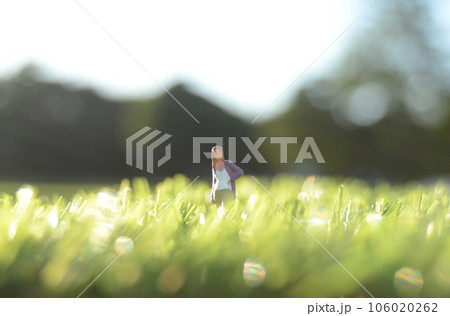 草原に立つ女性のミニチュア 106020262