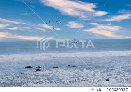 A boat moving in the middle of the sea, birds flying in the sky, natural beauty A boat moving in the middle of the sea, birds flying in the sky, natural beauty 106020337