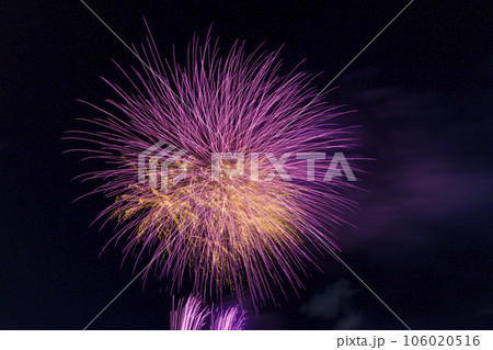 花火 夏の風物詩 106020516