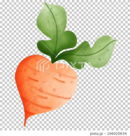 Carrot Carrot 106020634