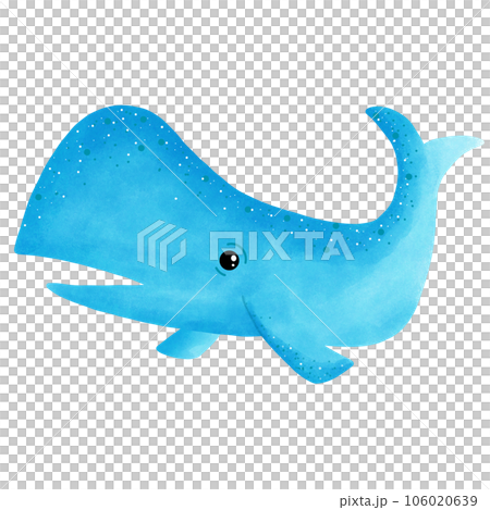 Whale Whale 106020639